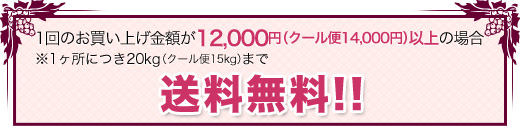 送料無料